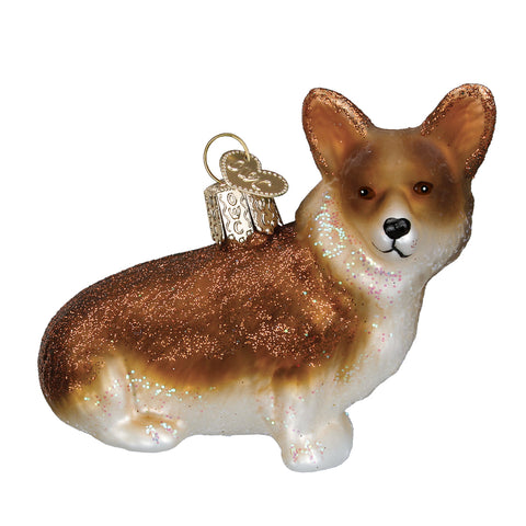 Corgi galés de Pembroke-1