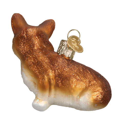 Corgi galés de Pembroke-2
