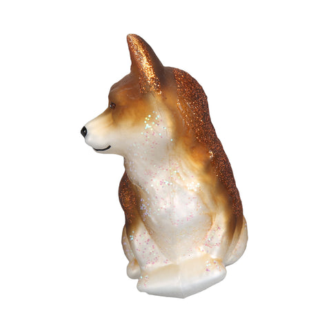 Corgi galés de Pembroke-3